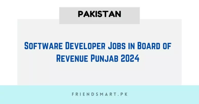 Software Developer Jobs in Board of Revenue Punjab