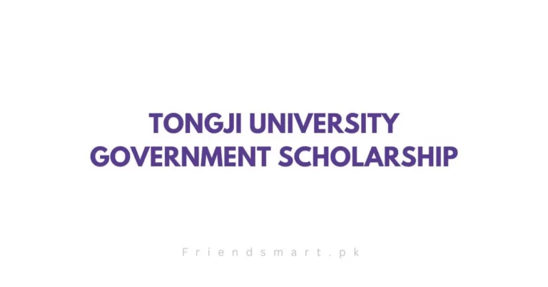 Tongji University Government Scholarship