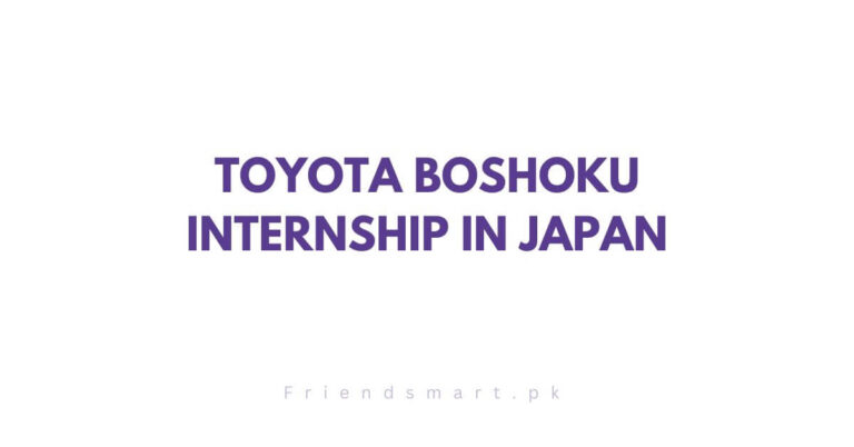 Toyota Boshoku Internship in Japan