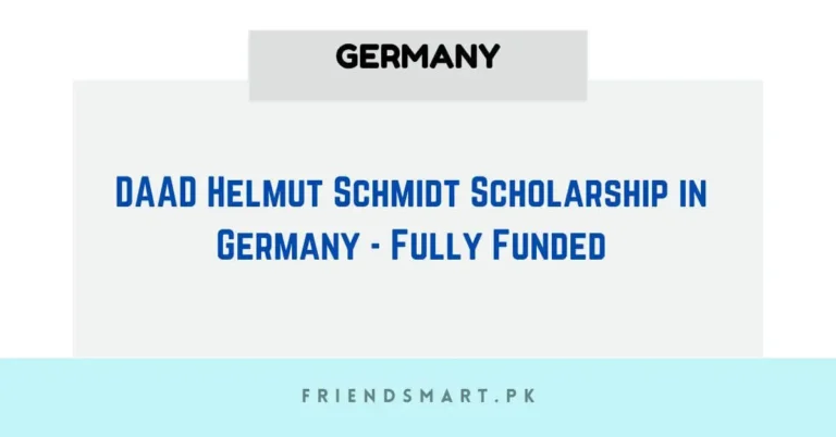 DAAD Helmut Schmidt Scholarship in Germany